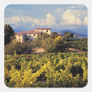 Europa, Frankreich, Bonnieux. Weinberge bedecken Quadratischer Aufkleber