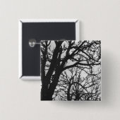 Europa, Frankreich, Paris. Winterbäume, Marco Button (Vorne & Hinten)