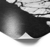 Europa, Frankreich, Paris Winterbäume, Marco Fotodruck (Ecke)