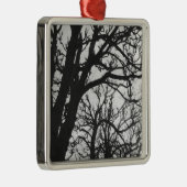 Europa, Frankreich, Paris. Winterbäume, Marco Ornament Aus Metall (Rechts)