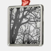 Europa, Frankreich, Paris. Winterbäume, Marco Ornament Aus Metall (Links)