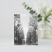 Europa, Frankreich, Paris Winterbäume, Marco Polo Postkarte (Stehend Vorderseite)