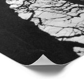 Europa, Frankreich, Paris Winterbäume, Marco Poster (Ecke)