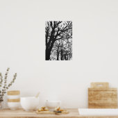 Europa, Frankreich, Paris Winterbäume, Marco Poster (Küche)