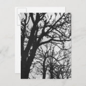 Europa, Frankreich, Paris Winterbäume, Marco Postkarte (Vorne/Hinten)