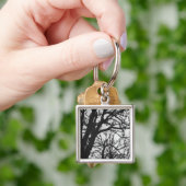 Europa, Frankreich, Paris. Winterbäume, Marco Schlüsselanhänger (Hand)