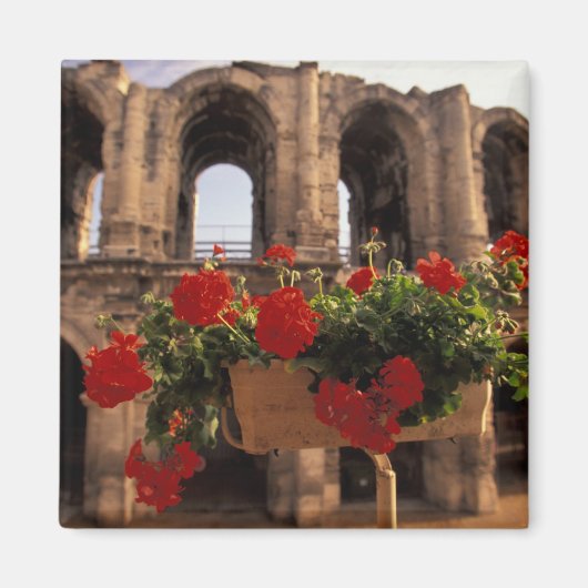 Europa, Frankreich, Provence, Arles, Bouches, du Magnet (Vorne)