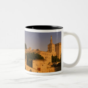 Europa, Frankreich, Provence, Avignon. Palais des  Zweifarbige Tasse