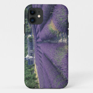 Europa, Frankreich, Provence. Lavendelfelder Case-Mate iPhone Hülle