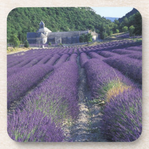 Europa, Frankreich, Provence. Lavendelfelder Untersetzer