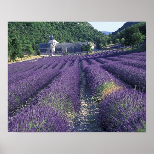 Europa, Frankreich, Provence. Lawinenfelder Poster (Vorne)
