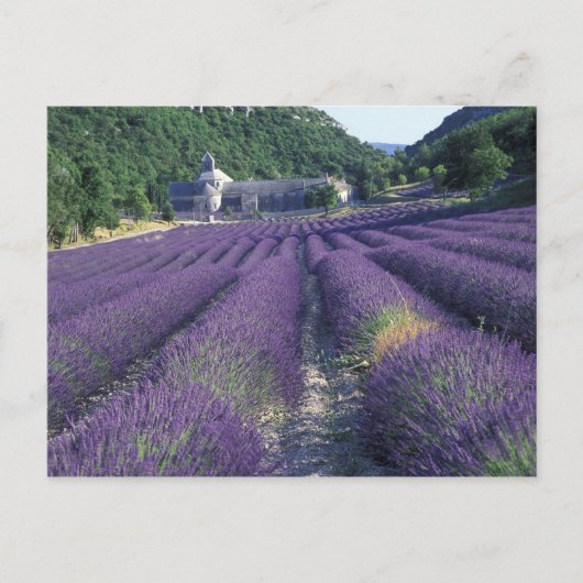 Europa, Frankreich, Provence. Lawinenfelder Postkarte (Vorderseite)