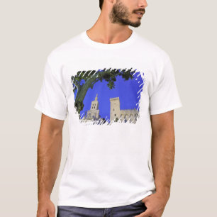 Europa, Frankreich, Provence, Vaucluse, Avignon. T-Shirt