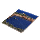 Europa, Frankreich, Theoule-sur-Mer. Ein Fliesenda Fliese (Seite)