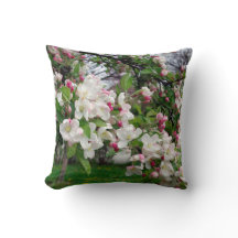 Europa-FrühlingsApfelbaumblüte