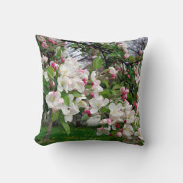 Europa-FrühlingsApfelbaumblüte Kissen