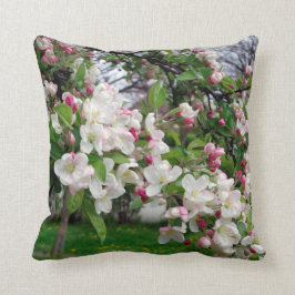 Europa-FrühlingsApfelbaumblüte Kissen