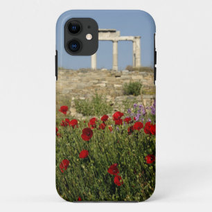 Europa, Griechenland, Kykladen, Delos. Säulenruine iPhone 11 Hülle
