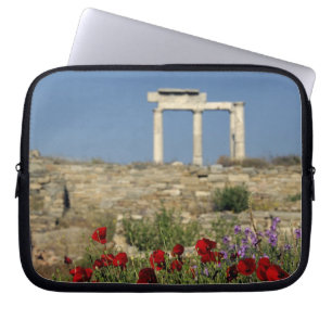Europa, Griechenland, Kykladen, Delos. Säulenruine Laptopschutzhülle