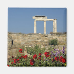Europa, Griechenland, Kykladen, Delos. Säulenruine Magnet