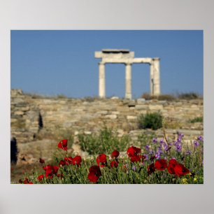 Europa, Griechenland, Kykladen, Delos. Säulenruine Poster
