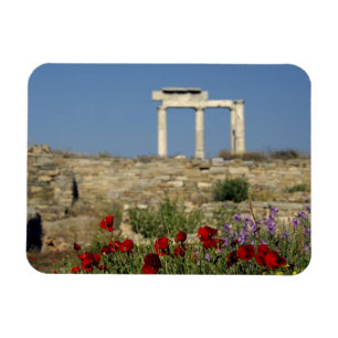 Europa, Griechenland, Kykladen, Delos. Spaltruinen Magnet