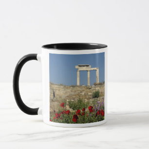 Europa, Griechenland, Kykladen, Delos. Spaltruinen Tasse
