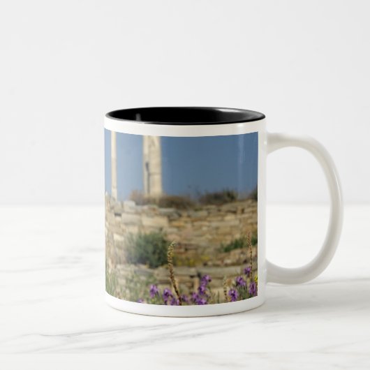 Europa, Griechenland, Kykladen, Delos. Spaltruinen Zweifarbige Tasse (Rechts)