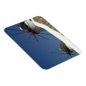 Europa, Griechenland, Mykonos. Magnet (Rechte Seite)