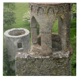 Europa, Irland, Blarney Castle. DIESES BILD Fliese