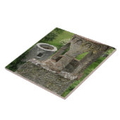 Europa, Irland, Schloss Blarney. DIESES BILD Fliese (Seite)