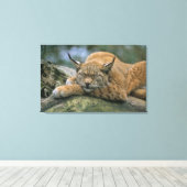 Europa �_ischer Luchs, Eurasischer Luchs (Lynx) Leinwanddruck (Insitu (Holzboden))