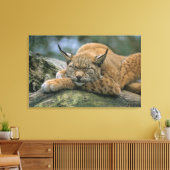 Europa �_ischer Luchs, Eurasischer Luchs (Lynx) Leinwanddruck (Insitu (Wohnzimmer))