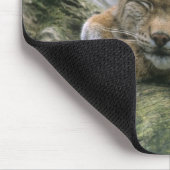 Europa �_ischer Luchs, Eurasischer Luchs (Lynx) Mousepad (Ecke)