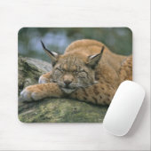 Europa �_ischer Luchs, Eurasischer Luchs (Lynx) Mousepad (Mit Mouse)