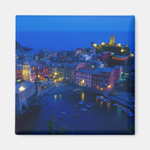Europa, Italien, Cinque Terre, Vernazza. Hillside Magnet