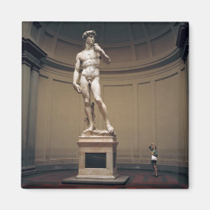 Europa, Italien, Florenz. Die tatsächliche Größ Magnet