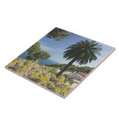 Europa, Italien, Kampanien (Amalfi-Küste), Fliese (Seite)