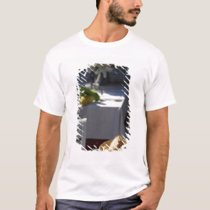 Europa, Italien, Region Ligurien, Cinque Terre, T-Shirt
