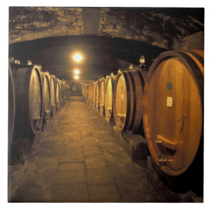 Europa, Italien, Region Toskana. Chiantikeller Fliese