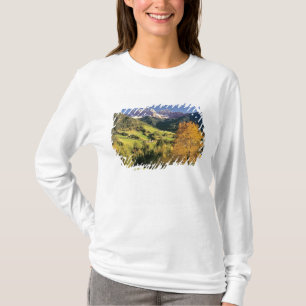 Europa, Italien, Santa Magdalena. Die winzige T-Shirt