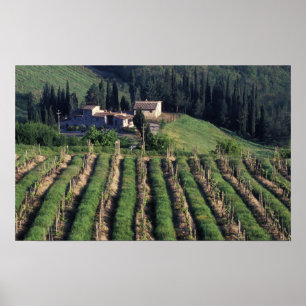 Europa, Italien, Toskana. Landschaftliche Villa cy Poster