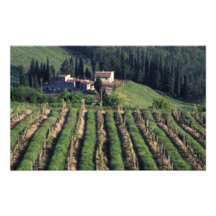 Europa, Italien, Toskana Landschaftliche Villa Cyp Fotodruck