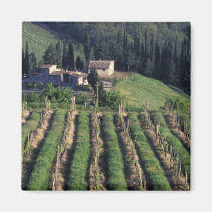 Europa, Italien, Toskana. Malerische Villa Zypern. Magnet