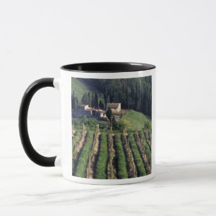 Europa, Italien, Toskana. Malerische Villa Zypern. Tasse