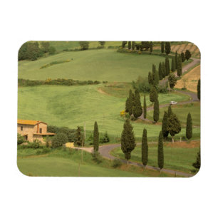 Europa, Italien, Toskana, Monticchiello Curvy Magnet