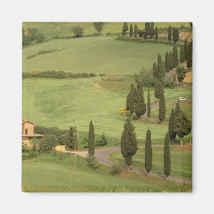 Europa, Italien, Toskana, Monticchiello. Kurvenrei Magnet