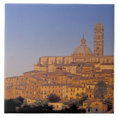 Europa, Italien, Toskana, Siena. 13. Jahrhundert 3 Fliese (Vorderseite)