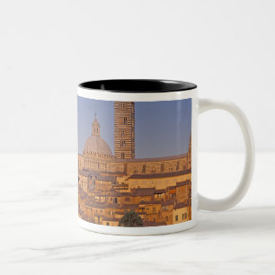 Europa, Italien, Toskana, Siena. 13. Jahrhundert 3 Zweifarbige Tasse