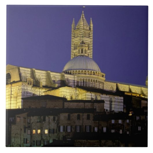 Europa, Italien, Toskana, Siena. 13. Jahrhundert Fliese (Vorderseite)